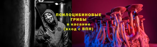 экстази Белокуриха