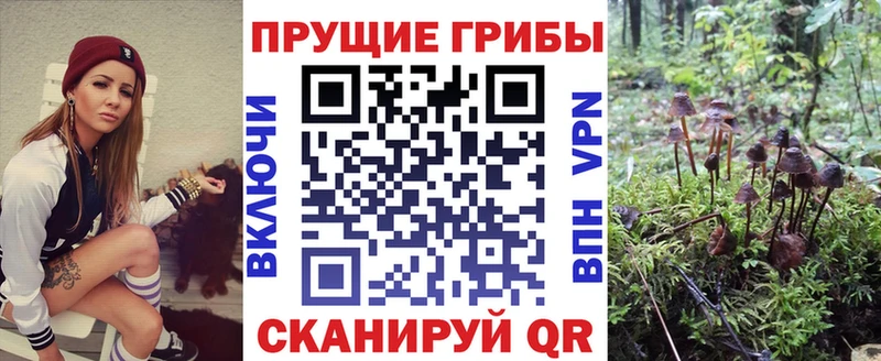 Галлюциногенные грибы ЛСД Нестеров